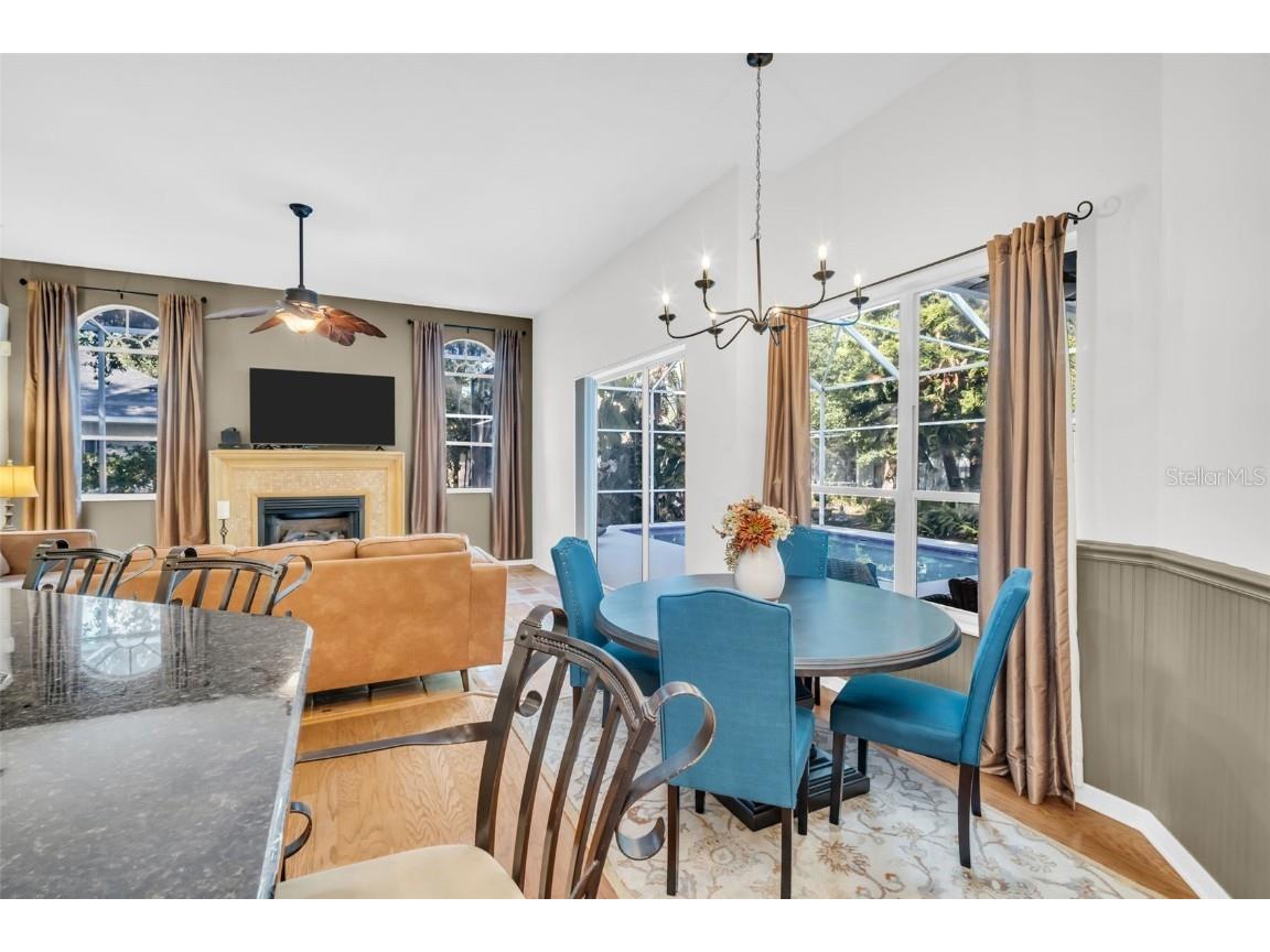 3785 Pendlebury Drive Palm Harbor FL 34685 TB8440603 image12