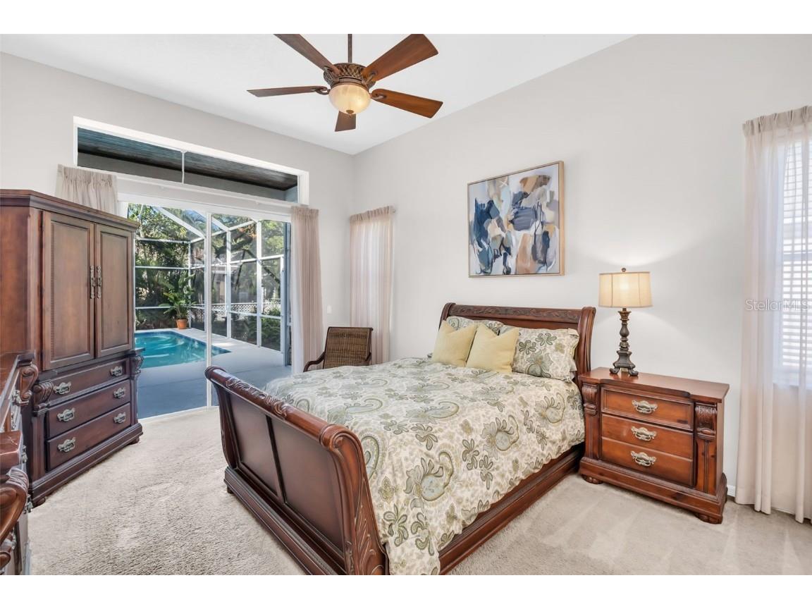 3785 Pendlebury Drive Palm Harbor FL 34685 TB8440603 image19