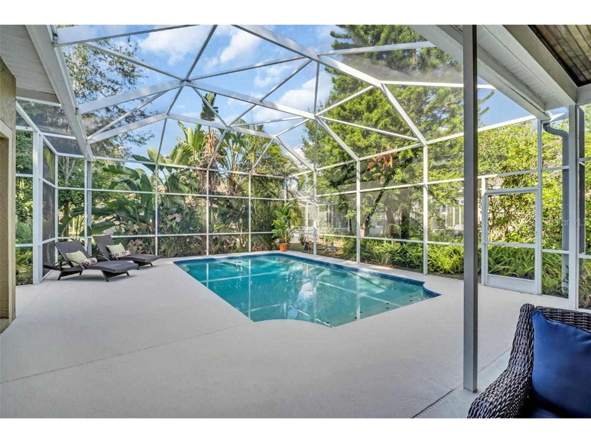 3785 Pendlebury Drive Palm Harbor FL 34685 TB8440603 image38