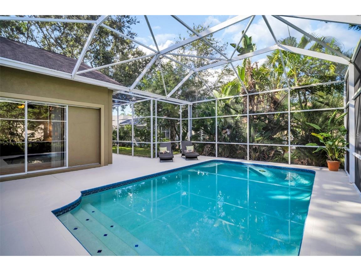 3785 Pendlebury Drive Palm Harbor FL 34685 TB8440603 image41