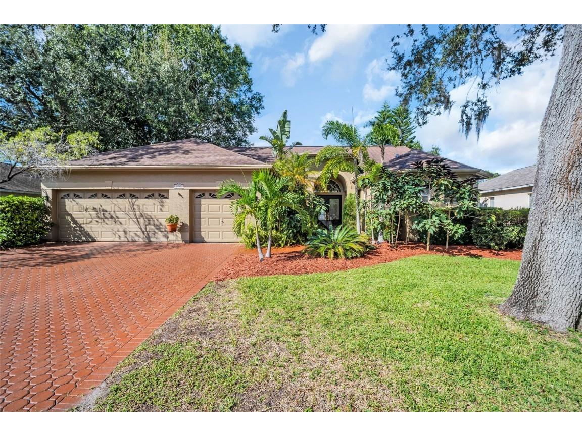 3785 Pendlebury Drive Palm Harbor FL 34685 TB8440603 image43
