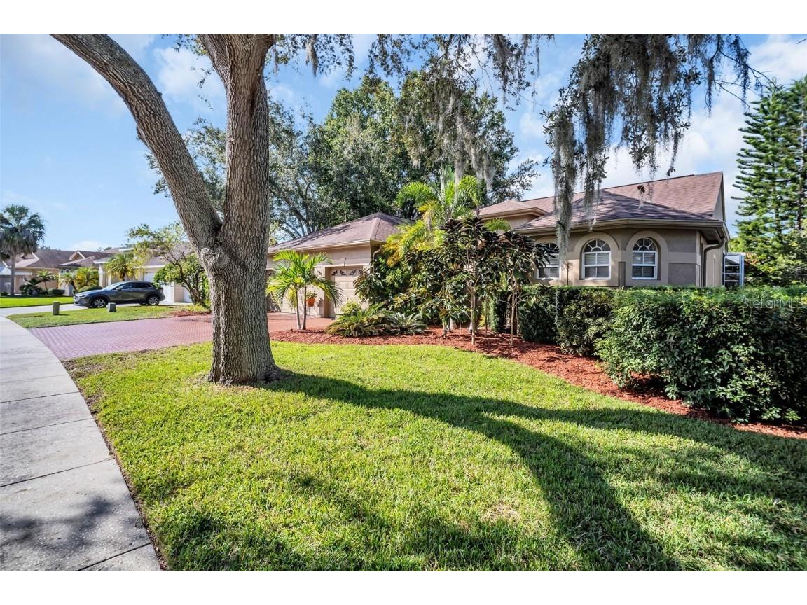 3785 Pendlebury Drive Palm Harbor FL 34685 TB8440603 image45