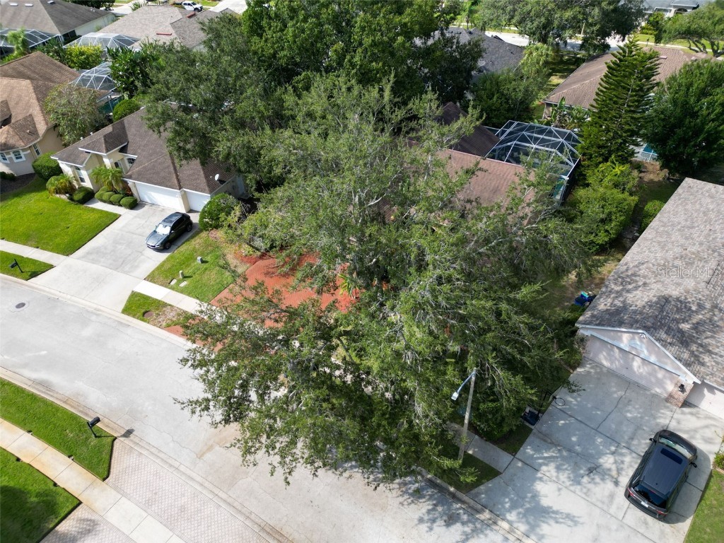 3785 Pendlebury Drive Palm Harbor FL 34685 TB8440603 image47