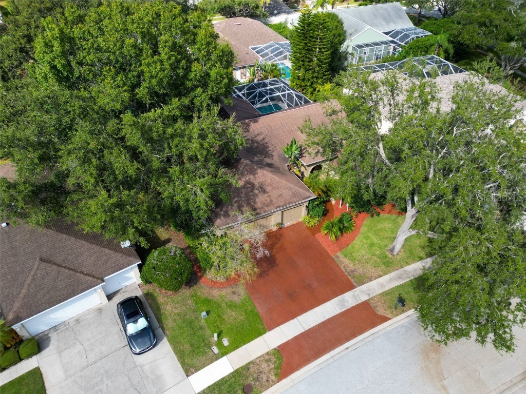 3785 Pendlebury Drive Palm Harbor FL 34685 TB8440603 image48