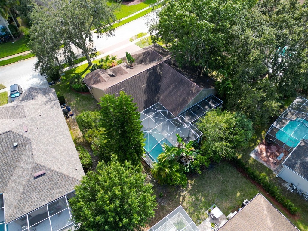 3785 Pendlebury Drive Palm Harbor FL 34685 TB8440603 image49