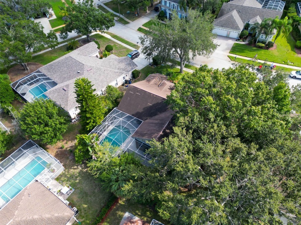 3785 Pendlebury Drive Palm Harbor FL 34685 TB8440603 image50