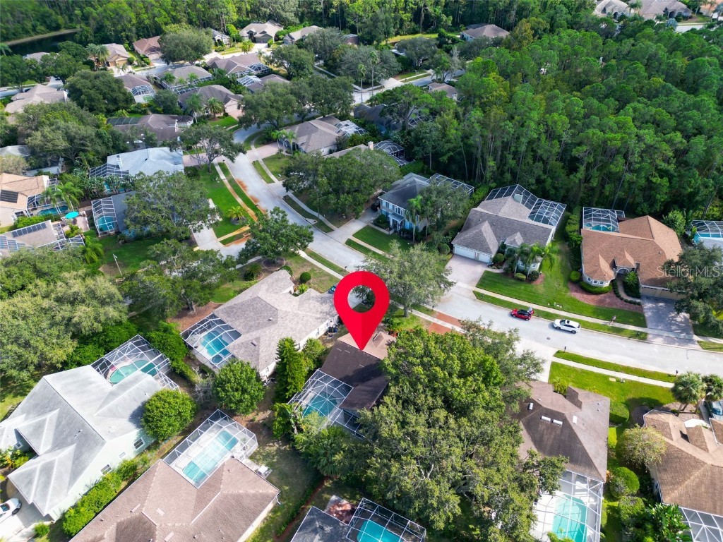 3785 Pendlebury Drive Palm Harbor FL 34685 TB8440603 image51