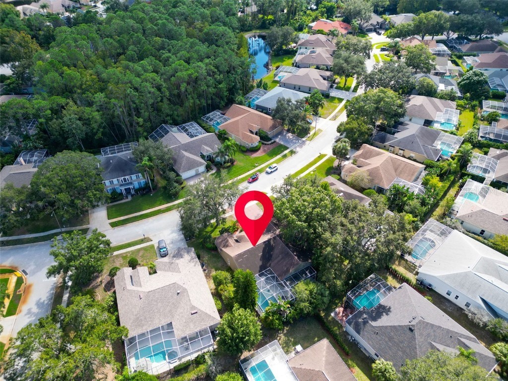 3785 Pendlebury Drive Palm Harbor FL 34685 TB8440603 image52