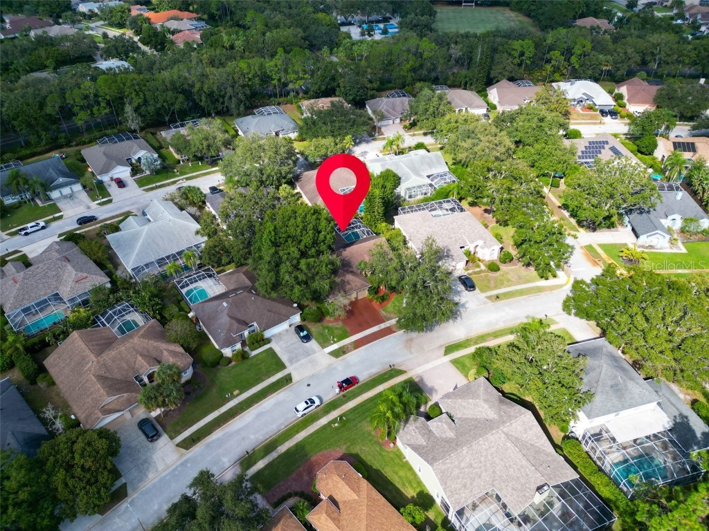 3785 Pendlebury Drive Palm Harbor FL 34685 TB8440603 image53