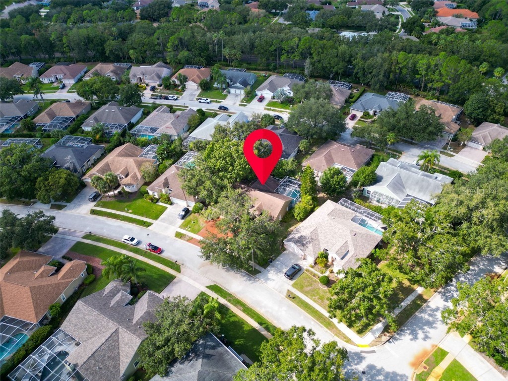 3785 Pendlebury Drive Palm Harbor FL 34685 TB8440603 image54