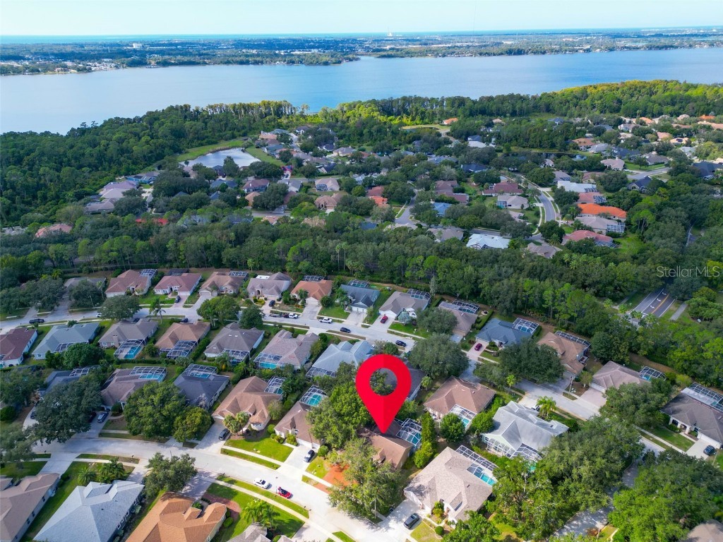 3785 Pendlebury Drive Palm Harbor FL 34685 TB8440603 image55