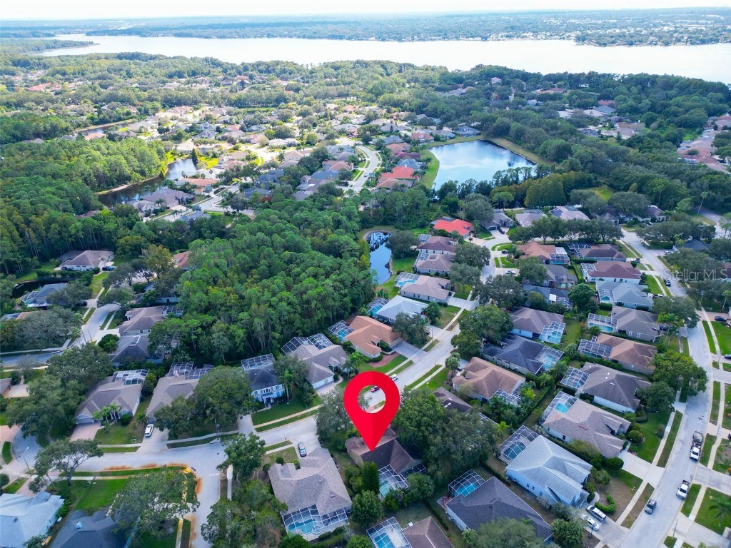 3785 Pendlebury Drive Palm Harbor FL 34685 TB8440603 image57