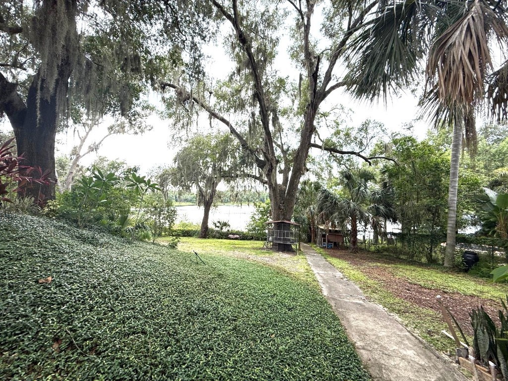 3785 Picciola Road Leesburg FL 34748 S5131041 image36