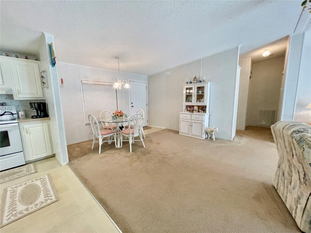 3786 Cr 405n Lake Panasoffkee FL 33538 TB8447152 image11