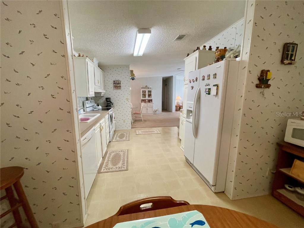 3786 Cr 405n Lake Panasoffkee FL 33538 TB8447152 image18