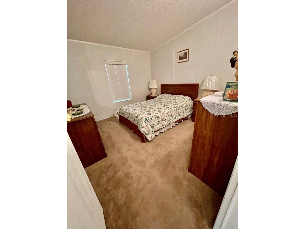 3786 Cr 405n Lake Panasoffkee FL 33538 TB8447152 image25