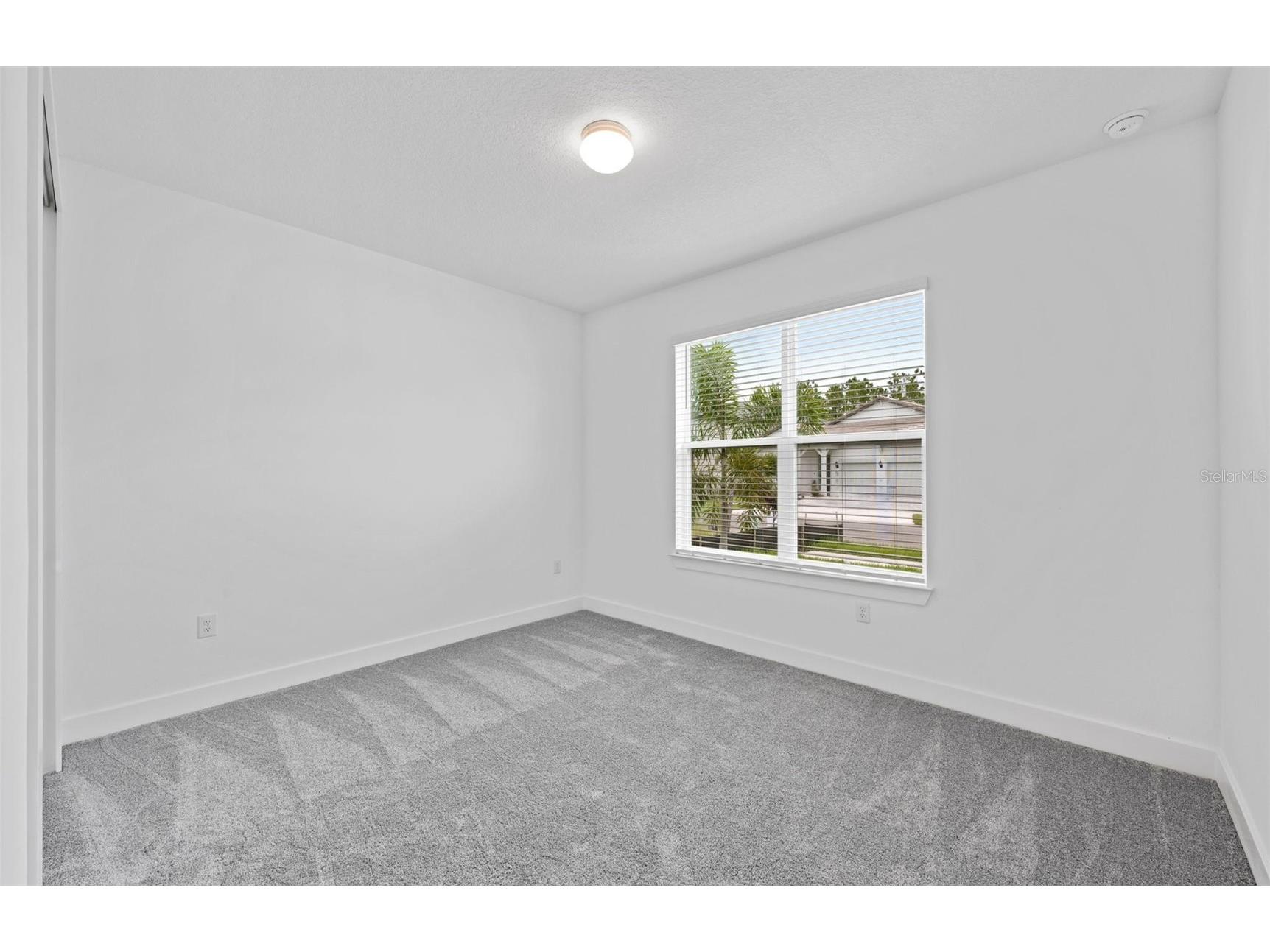 37864 Gunnison Drive Zephyrhills FL 33540 TB8468223 image14