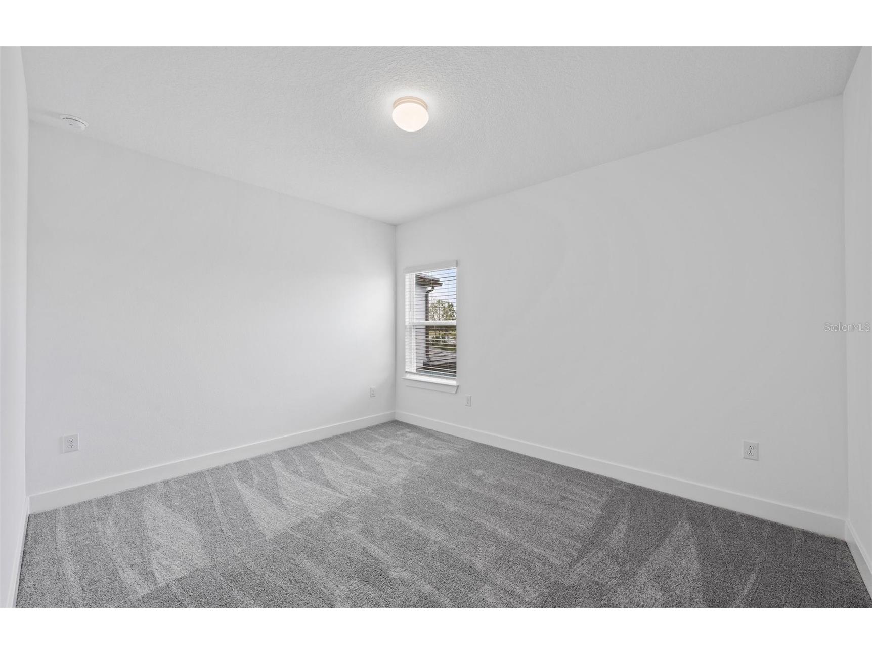 37864 Gunnison Drive Zephyrhills FL 33540 TB8468223 image17