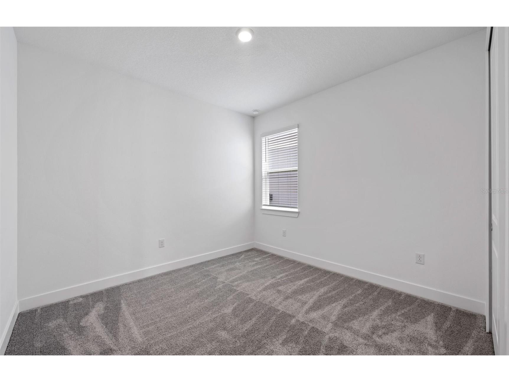 37864 Gunnison Drive Zephyrhills FL 33540 TB8468223 image22