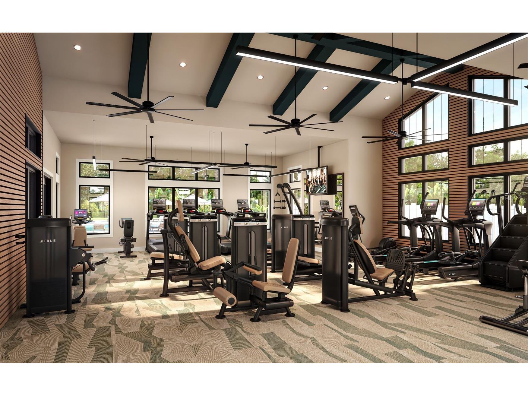 37864 Gunnison Drive Zephyrhills FL 33540 TB8468223 image27