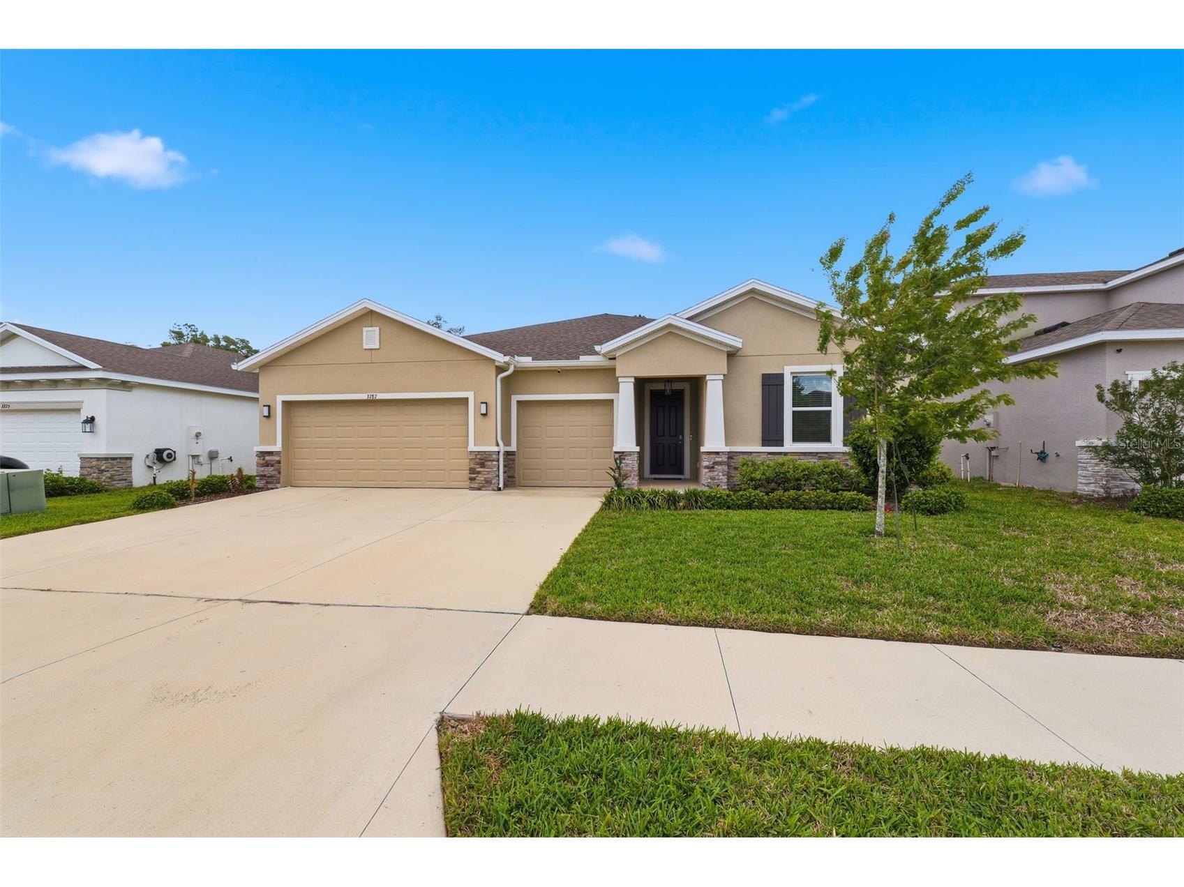 3787 Autumn Amber Drive Spring Hill FL 34609 W7884783 image3