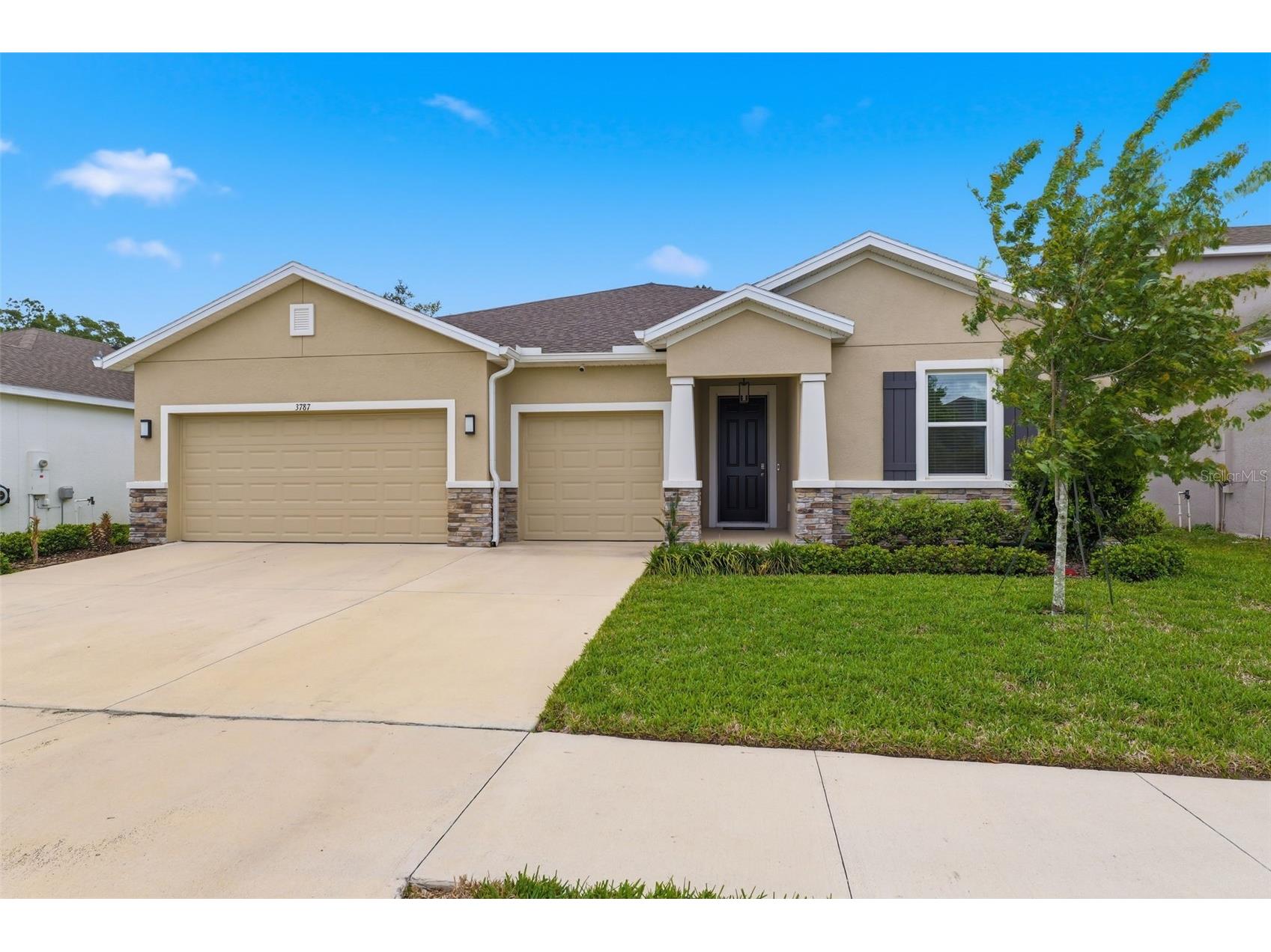 3787 Autumn Amber Drive Spring Hill FL 34609 W7884783 image4