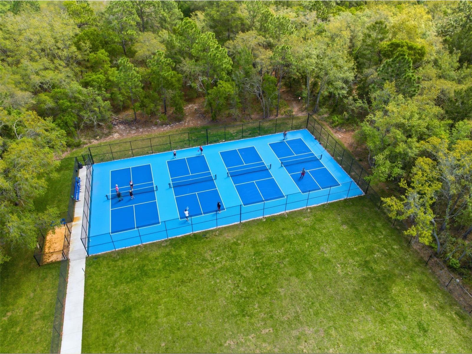 3787 Autumn Amber Drive Spring Hill FL 34609 W7884783 image60