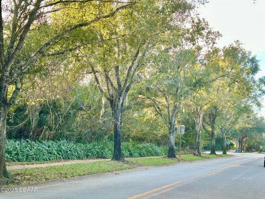 3787 Carrick Drive Ormond Beach FL 32174 V4945884 image57