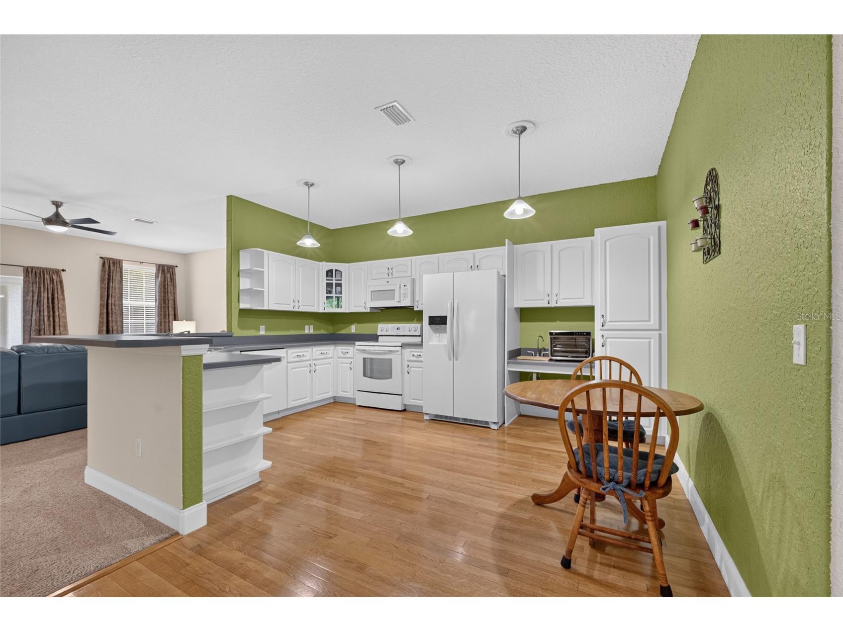 3788 SE 133rd Place Belleview FL 34420 OM726920 image3