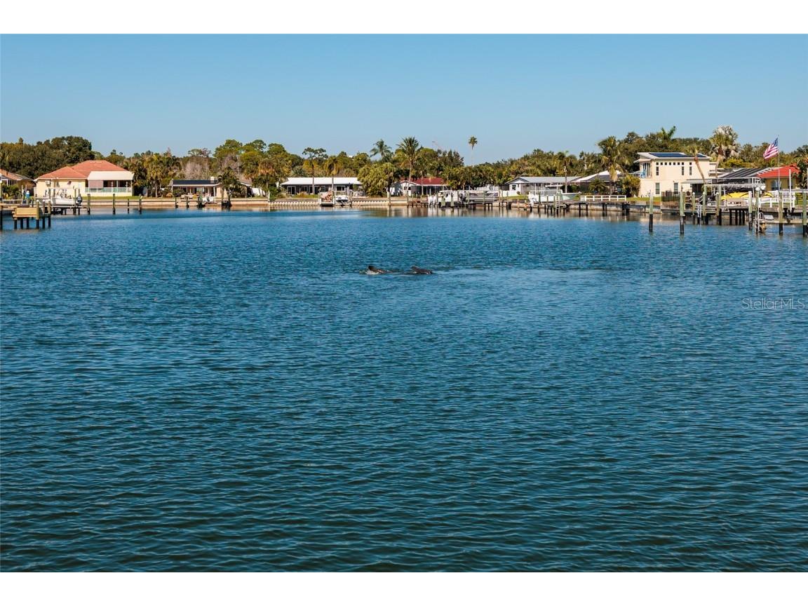 3789 46th Avenue S #101 Saint Petersburg FL 33711 TB8446010 image34