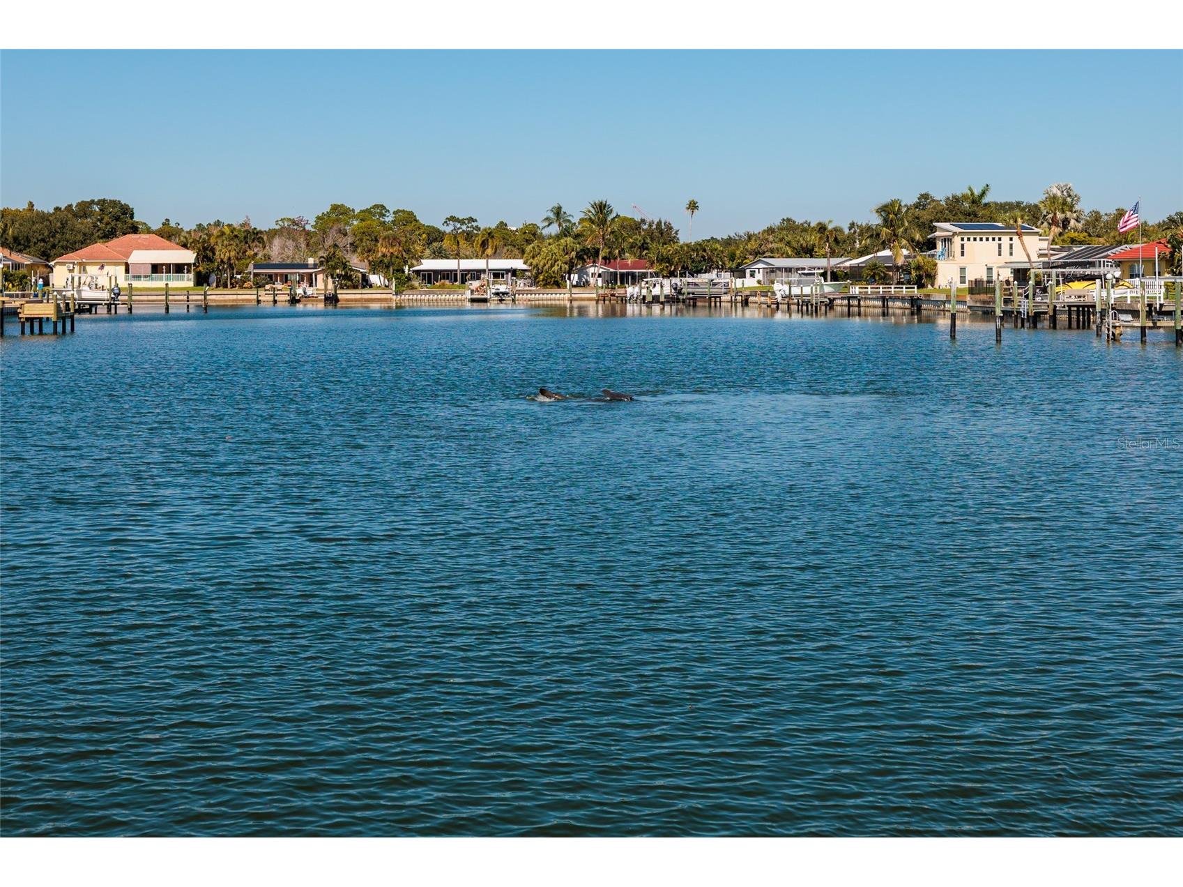 3789 46th Avenue S #101 Saint Petersburg FL 33711 TB8525066 image35