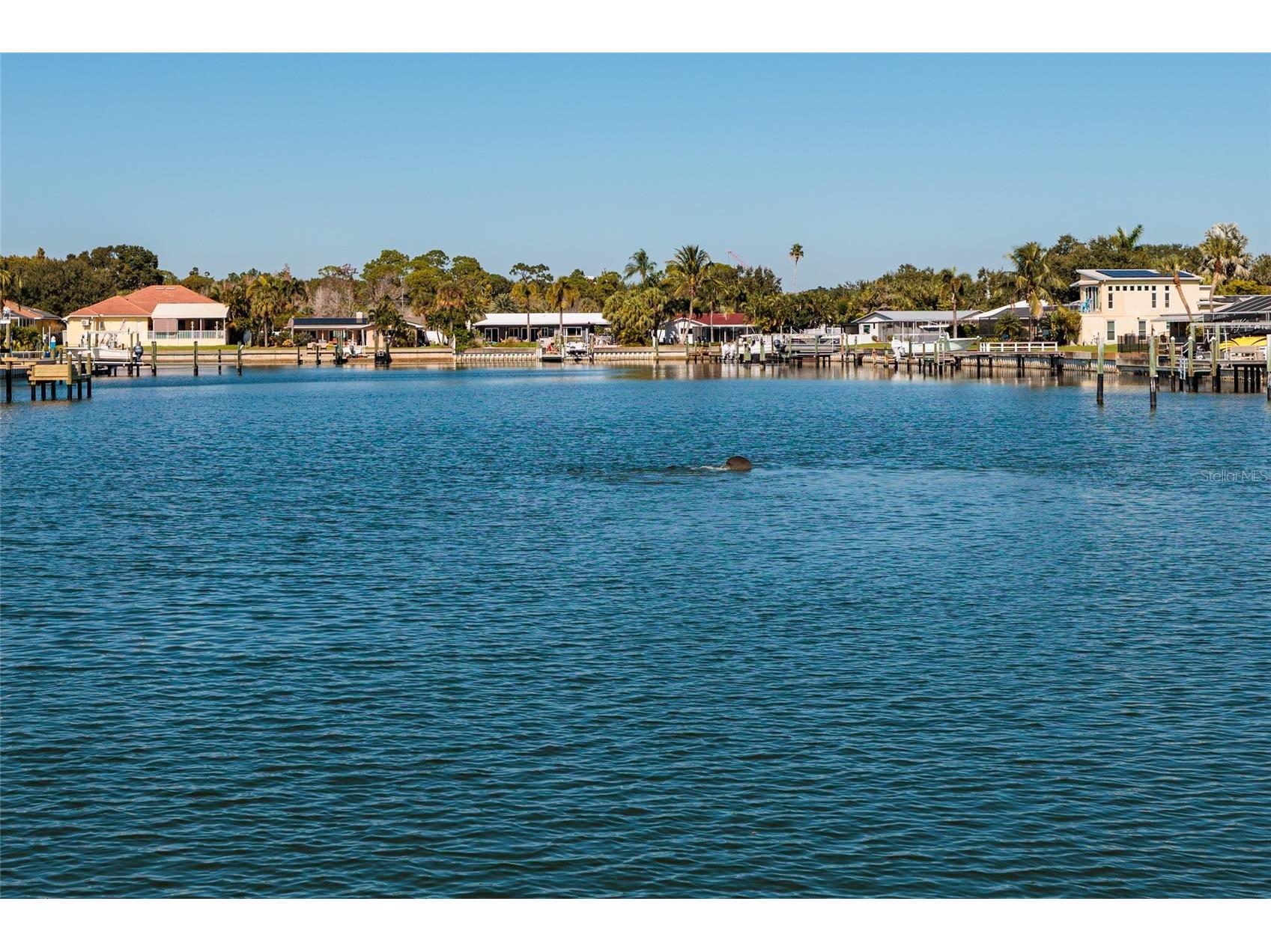 3789 46th Avenue S #101 Saint Petersburg FL 33711 TB8525066 image36