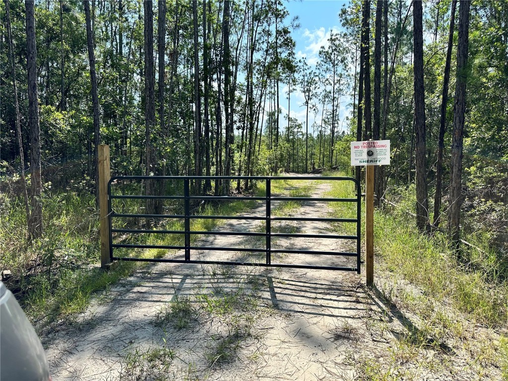 3789 Pine Pitch Court Ormond Beach FL 32174 V4941407 image2