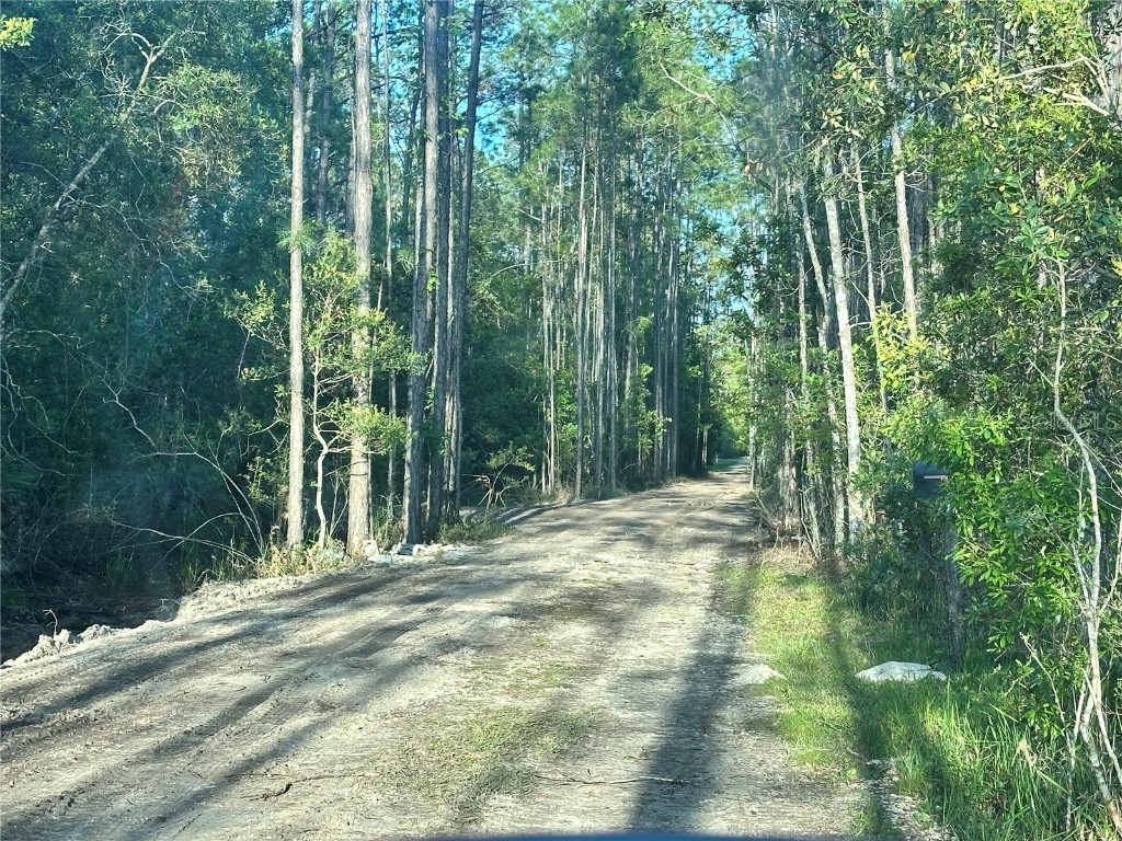 3789 Pine Pitch Court Ormond Beach FL 32174 V4941407 image3