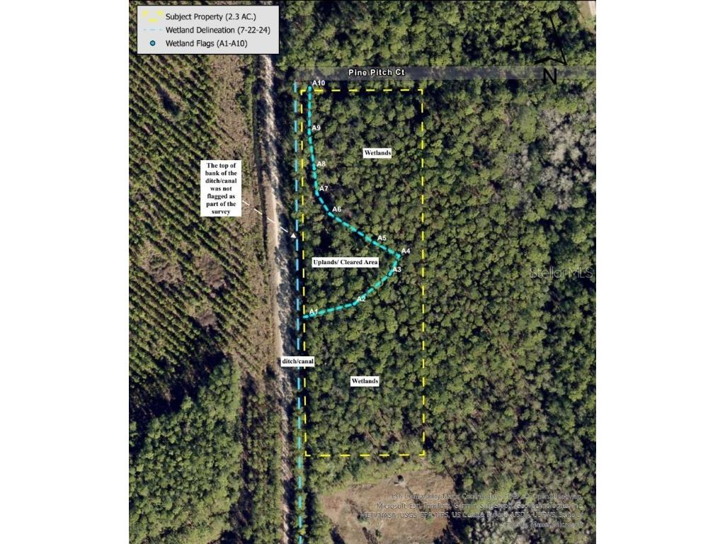 3789 Pine Pitch Court Ormond Beach FL 32174 V4941407 image5