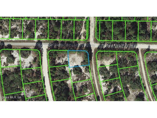 379 Jack Weisser Boulevard Lake Placid FL 33852 OM542072 image1