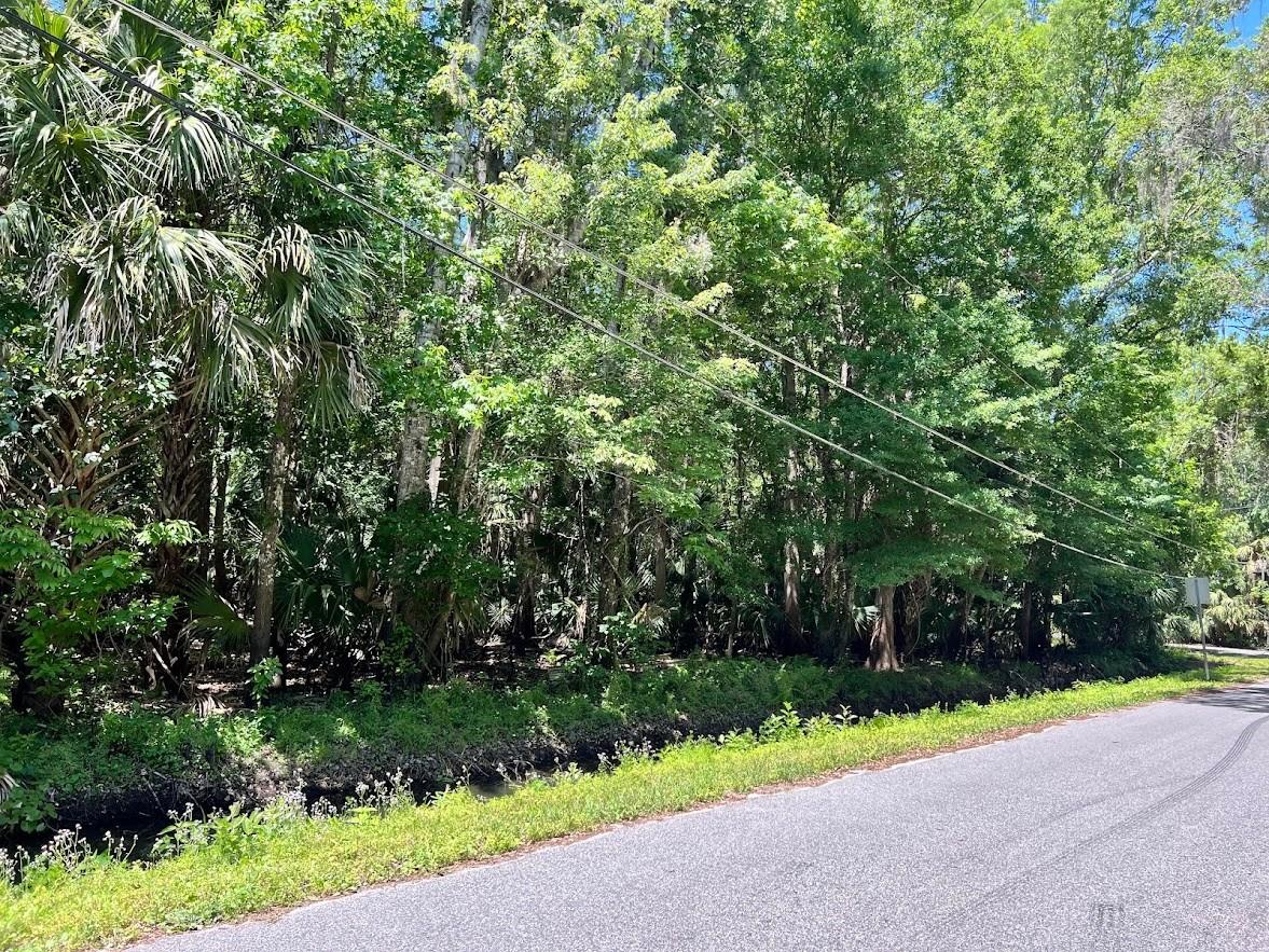 379 N Jungle Road Geneva FL 32732 O6384194 image1
