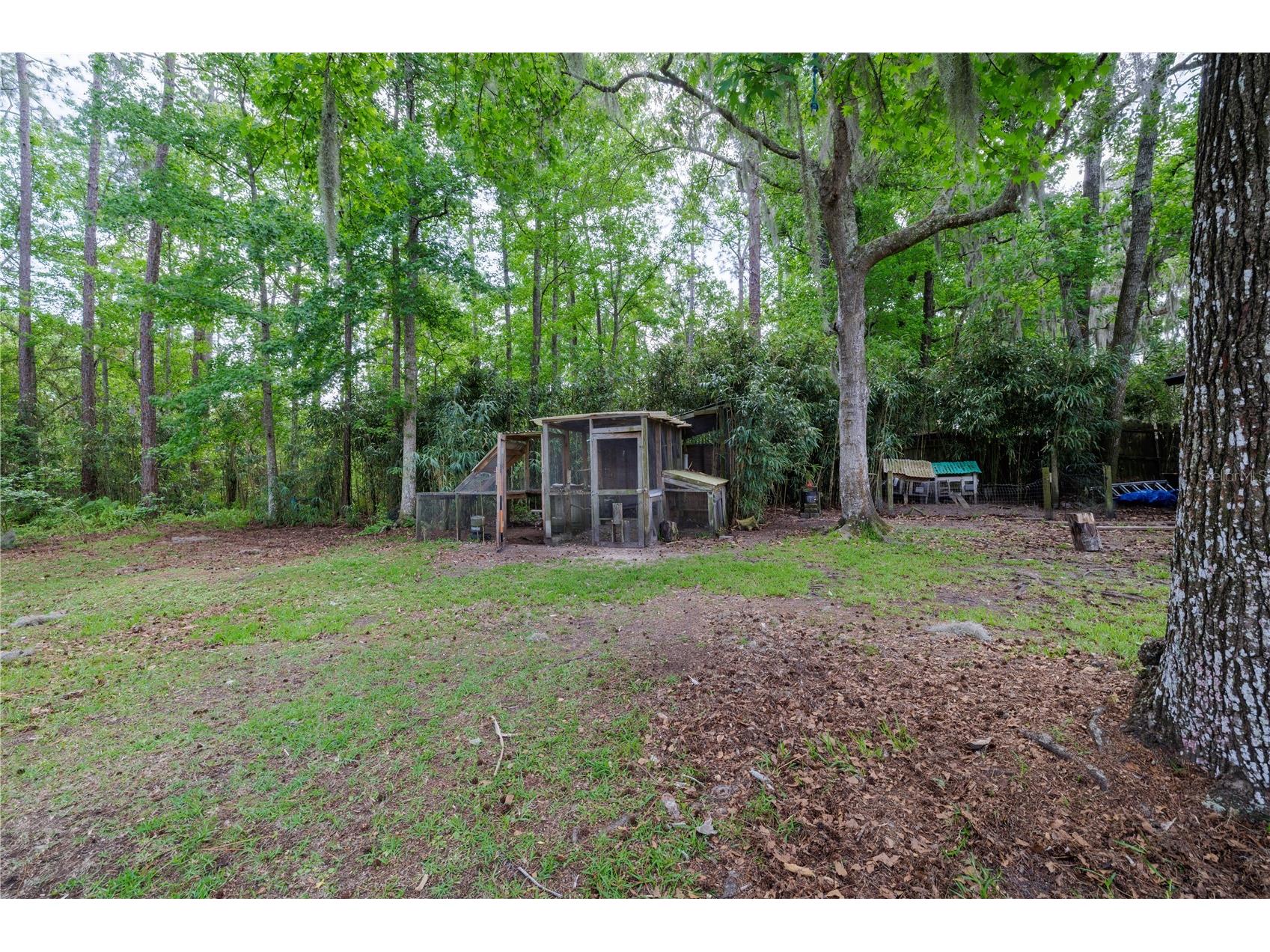 379 Oakridge Road Ormond Beach FL 32174 NS1087814 image36
