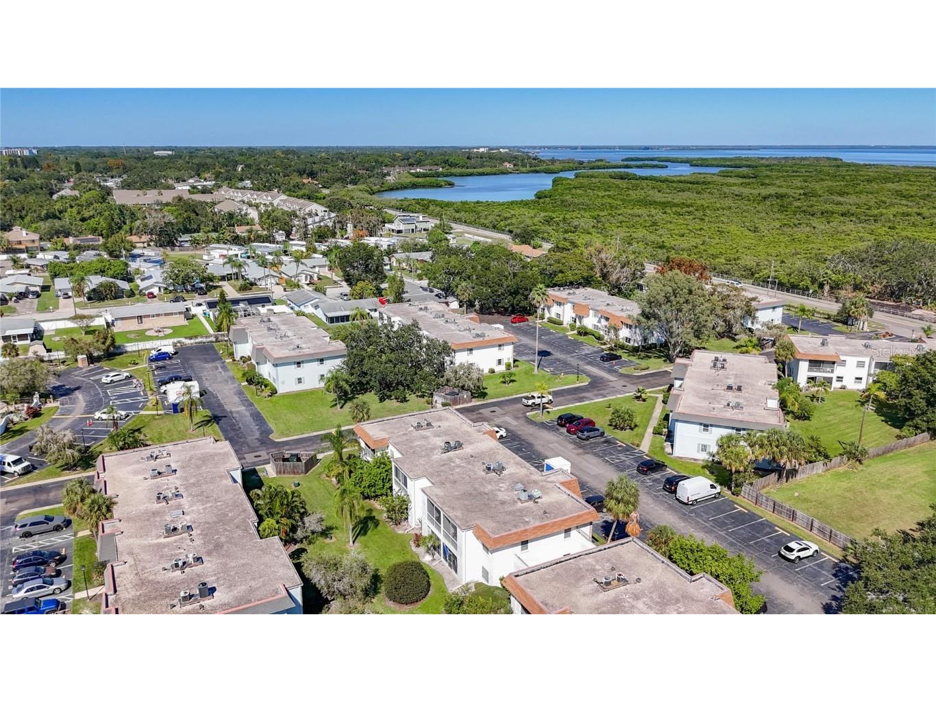 379 S Mcmullen Booth Road #76 Clearwater FL 33759 TB8438622 image34