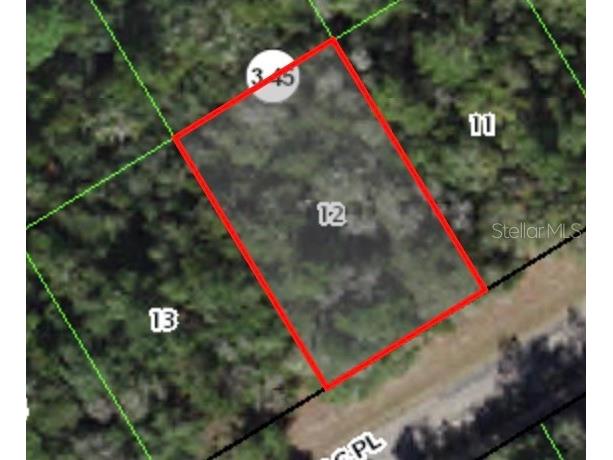 379 W Mac Place Citrus Springs FL 34434 A4577430 image1