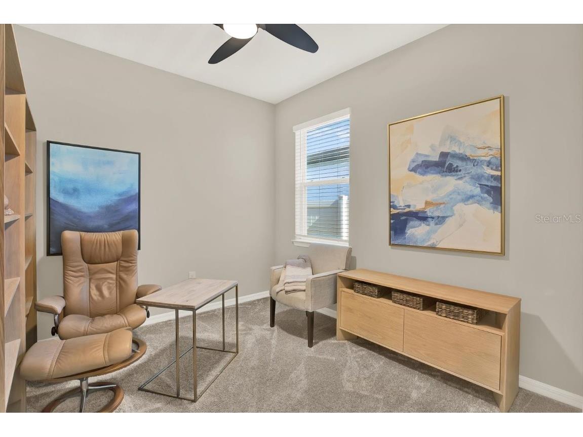 3791 Almond Brook Boulevard Land O Lakes FL 34638 TB8416808 image20