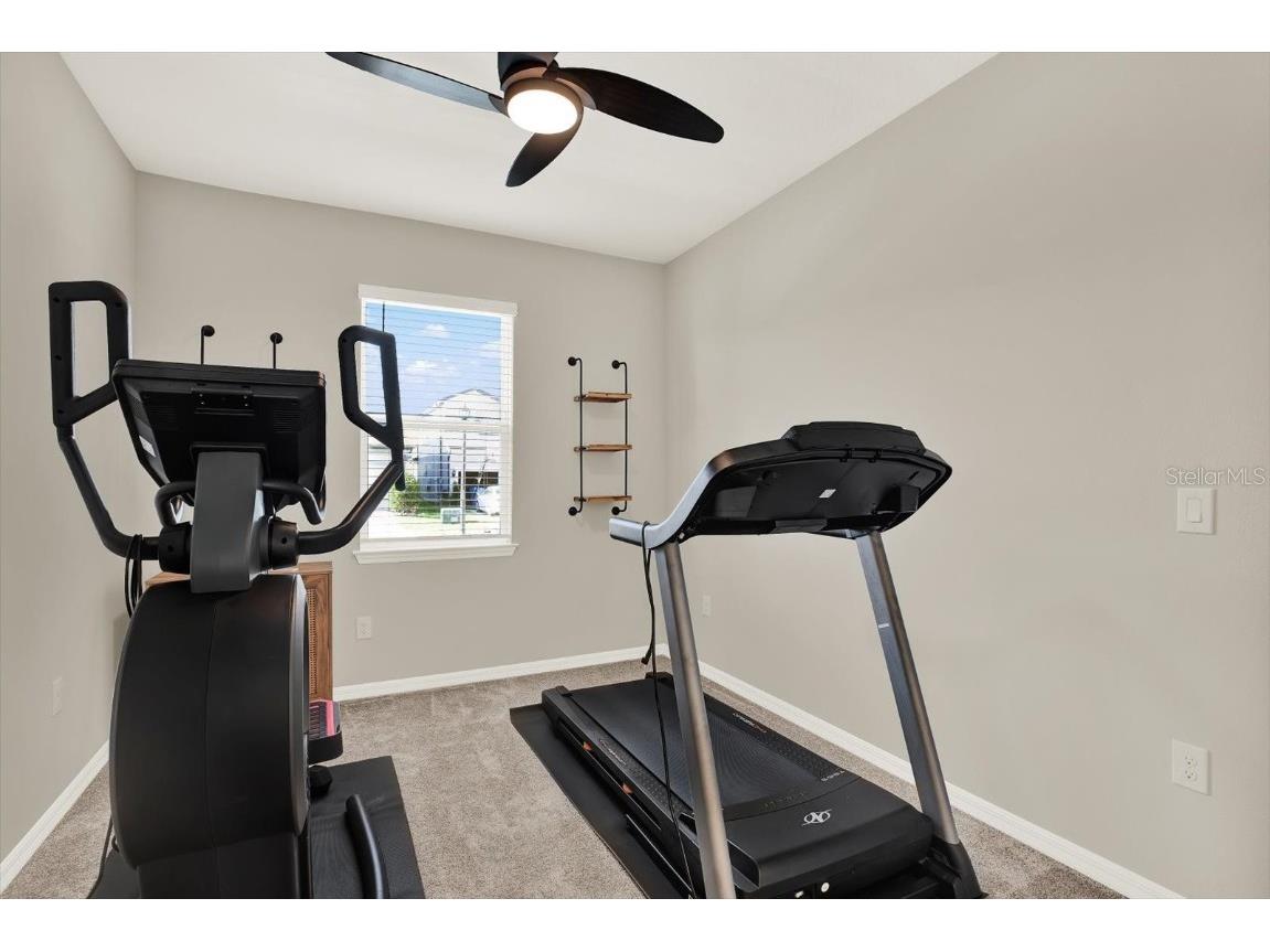 3791 Almond Brook Boulevard Land O Lakes FL 34638 TB8416808 image24