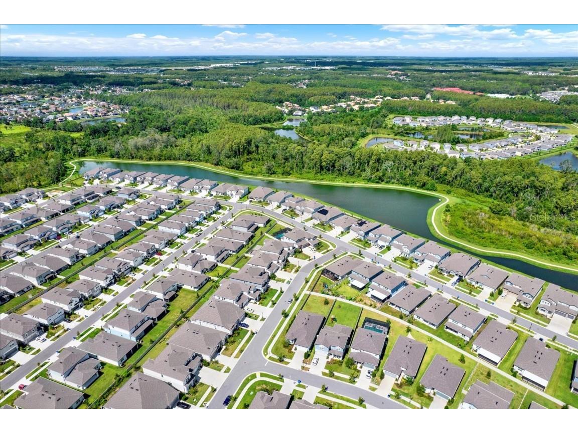 3791 Almond Brook Boulevard Land O Lakes FL 34638 TB8416808 image35