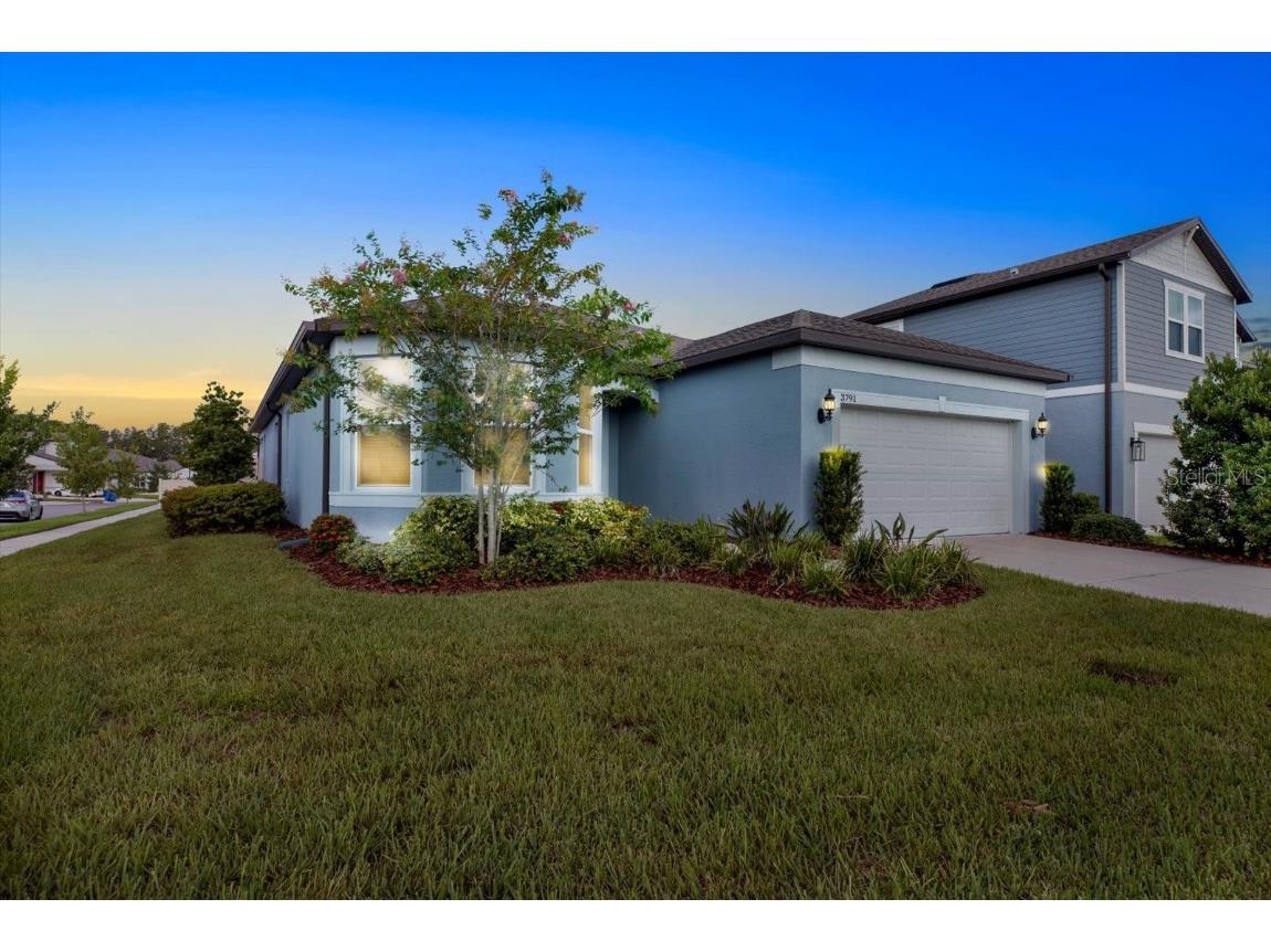 3791 Almond Brook Boulevard Land O Lakes FL 34638 TB8416808 image40