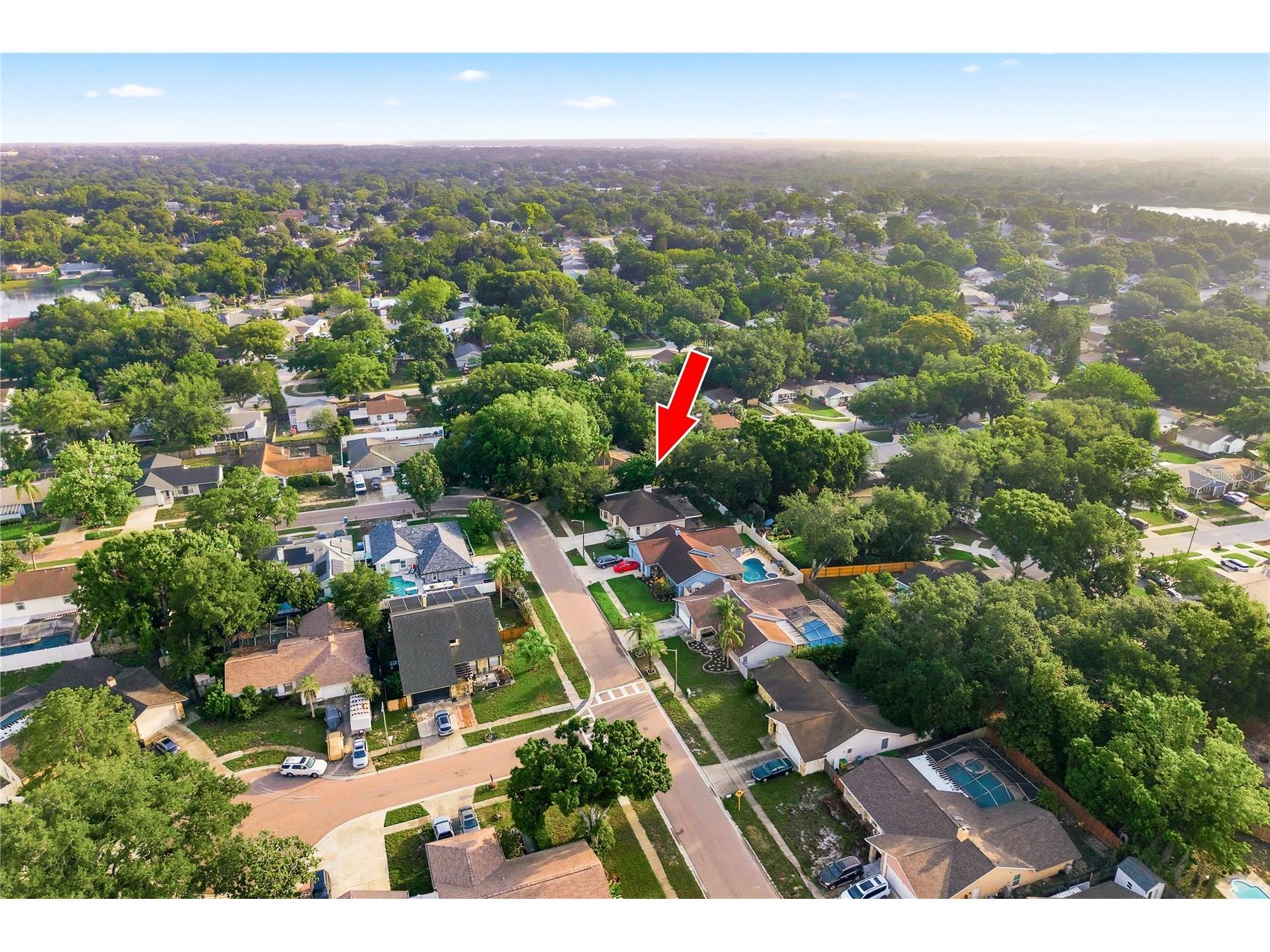3791 Orchard Highlands Drive Palm Harbor FL 34684 TB8512932 image2