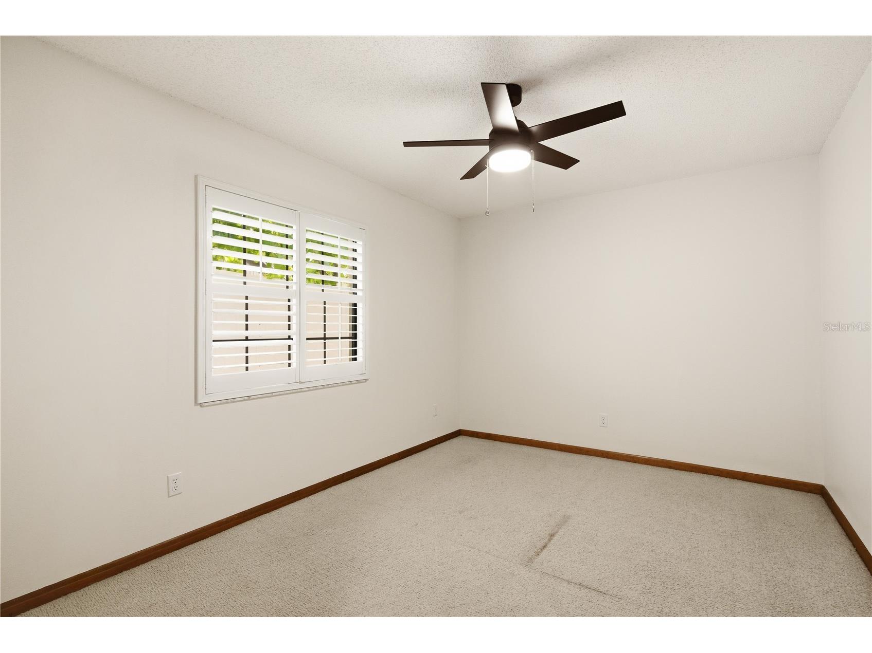 3791 Orchard Highlands Drive Palm Harbor FL 34684 TB8512932 image23