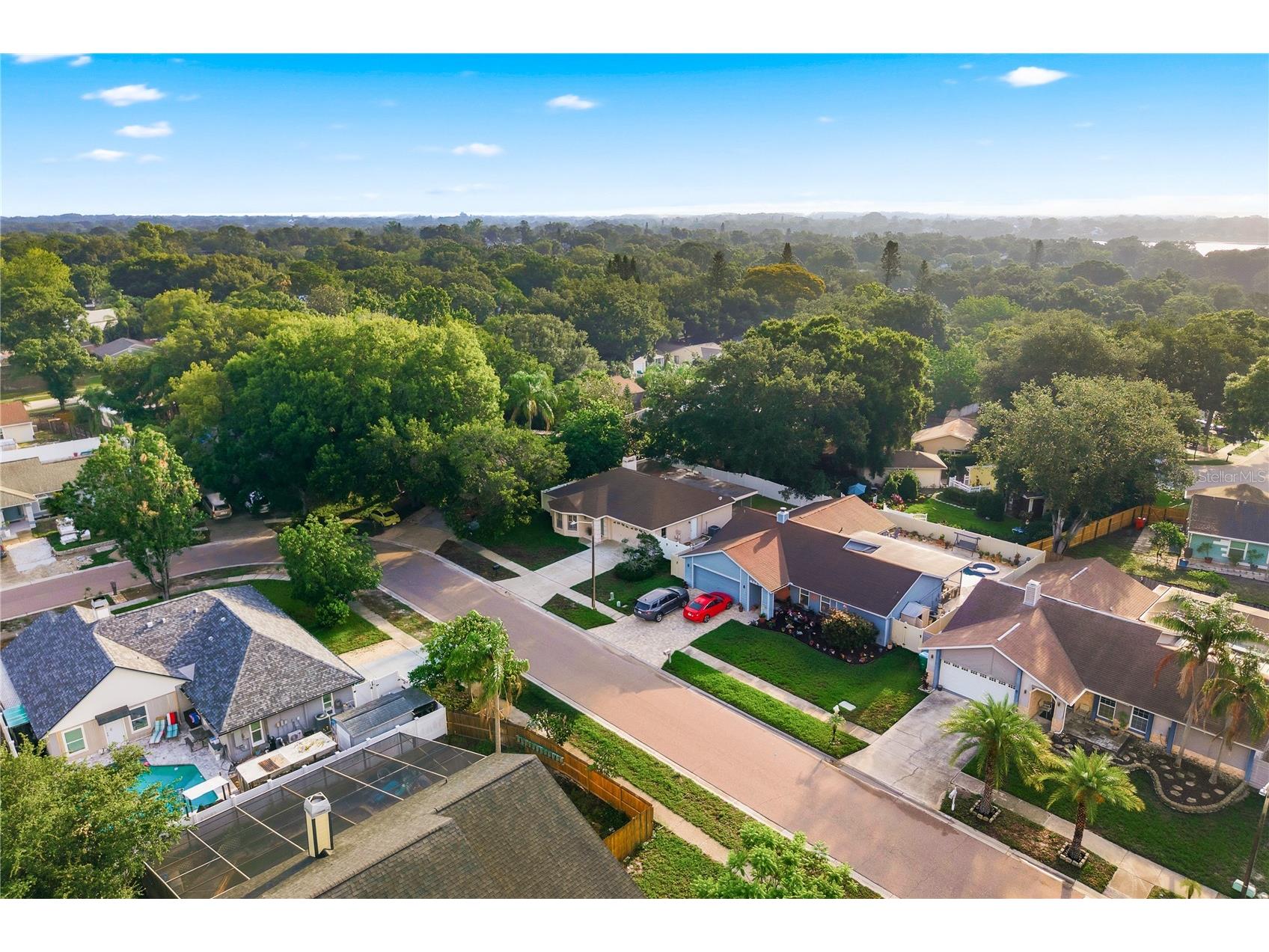 3791 Orchard Highlands Drive Palm Harbor FL 34684 TB8512932 image40