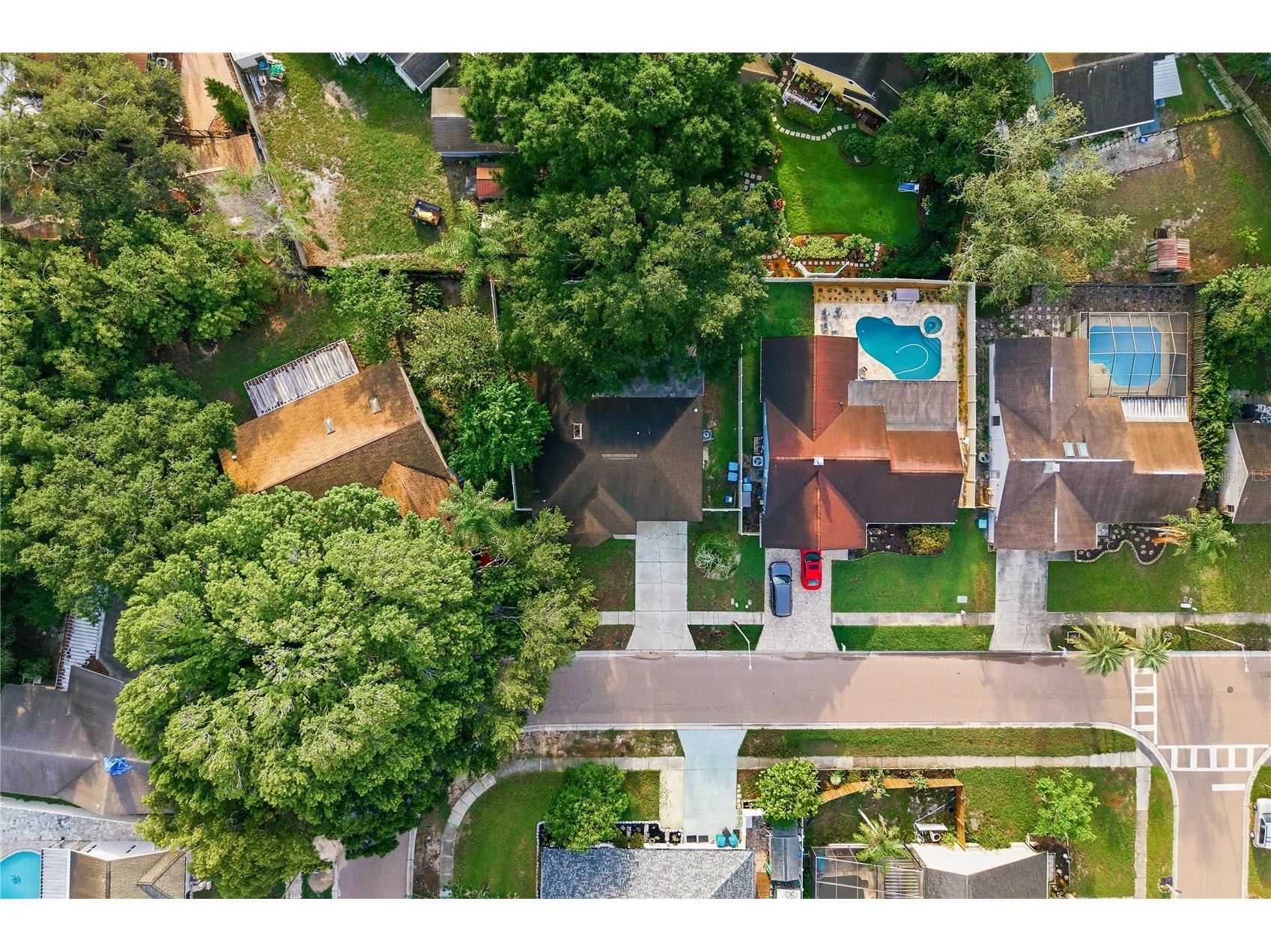 3791 Orchard Highlands Drive Palm Harbor FL 34684 TB8512932 image42
