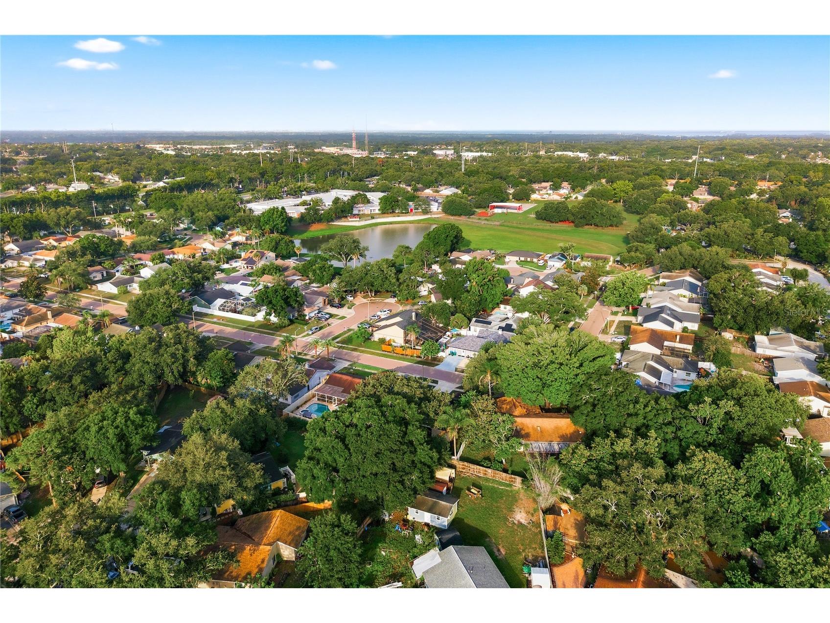 3791 Orchard Highlands Drive Palm Harbor FL 34684 TB8512932 image45