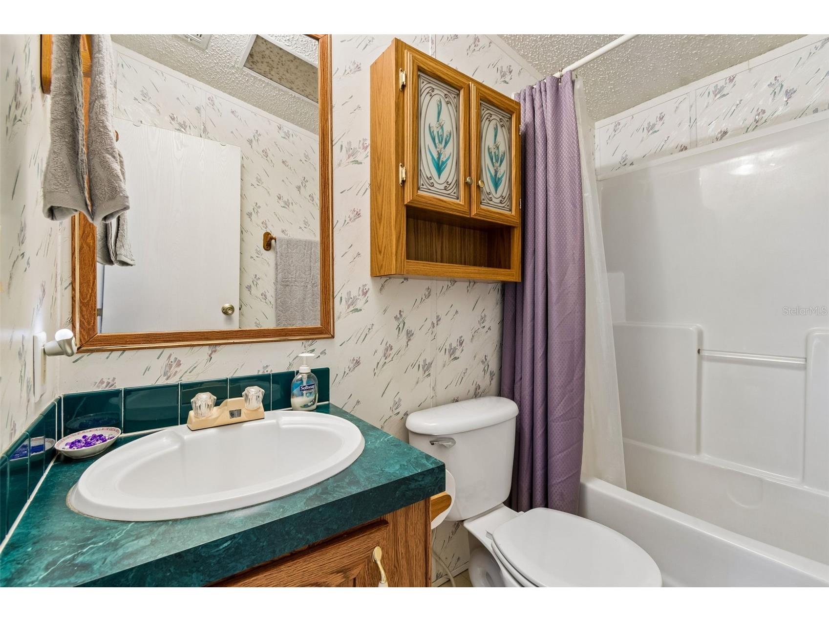 37913 Palmetto Palm Drive Zephyrhills FL 33542 TB8513640 image12